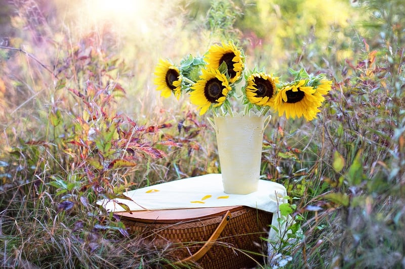 Hanging Shoe Organizer Garden